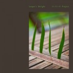 Looper's Delight 11-11-11 Project 